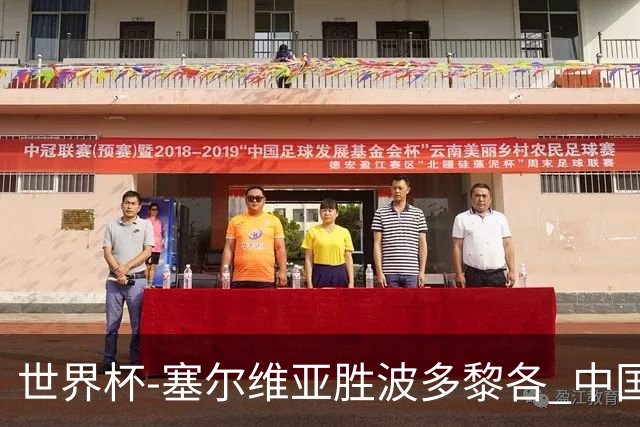 世界杯-塞尔维亚胜波多黎各 中国仍存出线可能