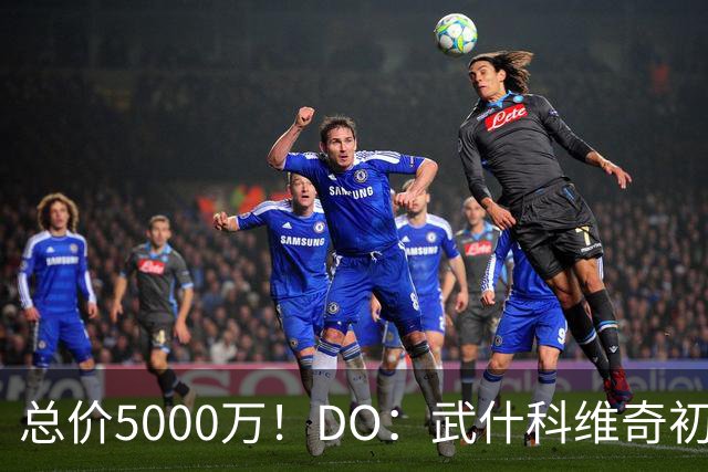 总价5000万！DO：武什科维奇初始转会费4600万镑，热刺有二转分成