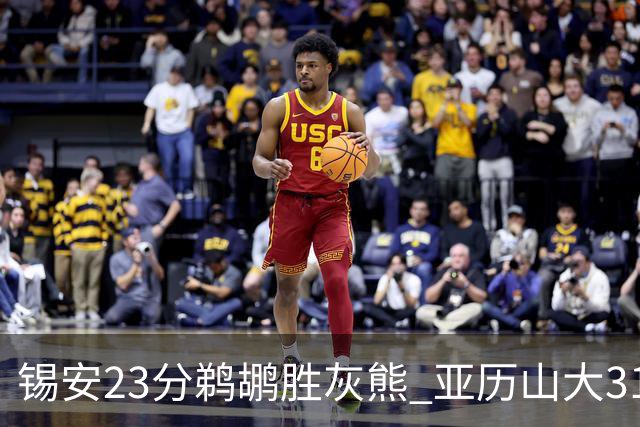 锡安23分鹈鹕胜灰熊 亚历山大31+10雷霆屠公牛